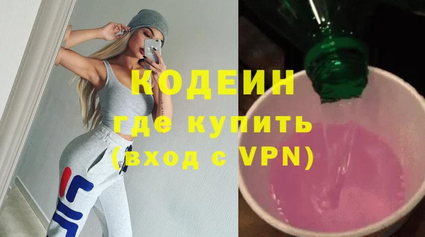 сатива Иннополис