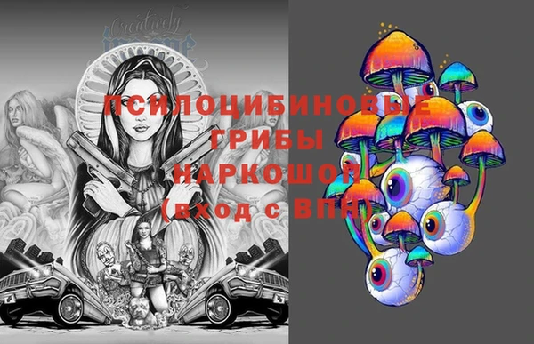 сатива Иннополис
