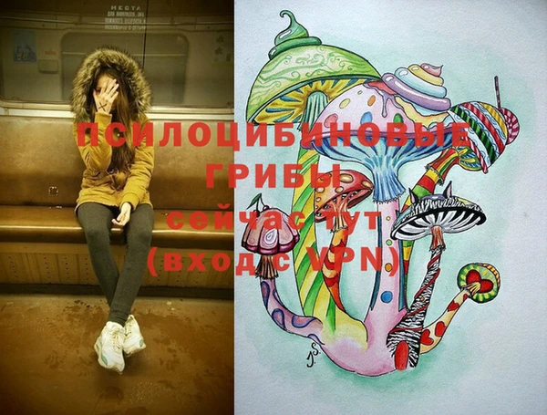 наркотики Инсар