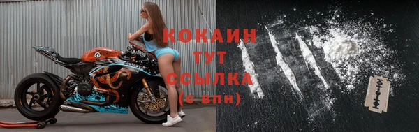 сатива Иннополис